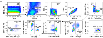 FlowSpot Enables Decentralized Phenotypic and Functional Cellular Immune Profiling from Dried Blood Spots