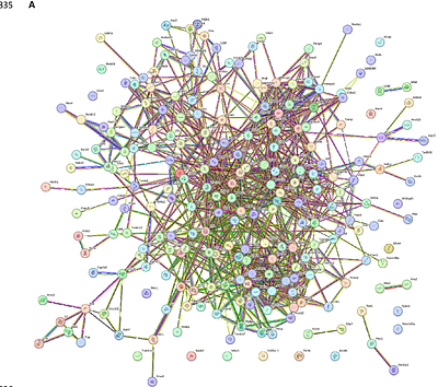 Differential Proteomic Analysis of DEN-Induced Hepatocellular Carcinoma in Male and Female Balb/c Mice Reveals Novel Gender Specific Markers