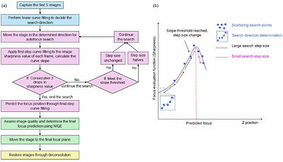 An Enhanced Mountain Climbing Search Algorithm to Enable Fast and Accurate Autofocusing in High Resolution Fluorescence Microscopy