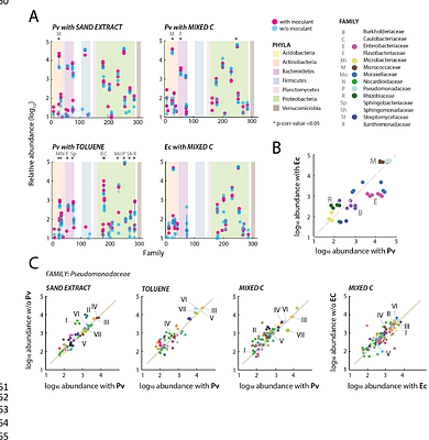Niche Availability and Competitive Facilitation Control Proliferation of Bacterial Strains Intended for Soil Microbiome Interventions