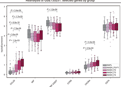 Mapping the MIF-2 Chemokine Interactome Reveals MIF-2-CCL20 Complex Formation in Liver Fibrosis