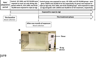 The Potential Effect of Vitamin D Supplement on Selected Coagulability Predictors in Vape-Exposed Female Rats
