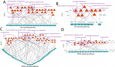 Pan-cancer transcriptional regulatory network analysis reveals key drivers and epigenetic modulators in tumorigenesis