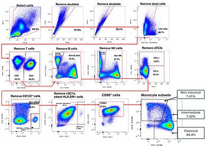 Early immune responses anticipate HIV rebound and precede viral control