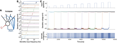 Robust maintenance of both stimulus location and amplitude in a working memory model based on dendritic bistability