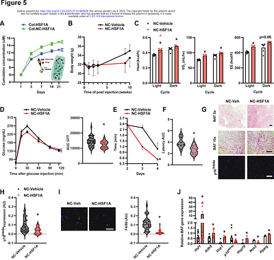 Thermogenic Adipose ADH5 Counteracts Age-related Metabolic Decline