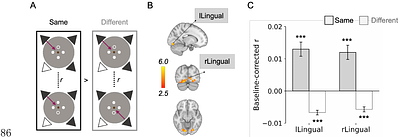 The orbitofrontal cortex constructs allocentric schemas by integrating dynamic mobile agents with static environmental anchors