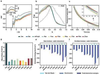 Rational Design Reveals Structural Plasticity of the CsgA β-Solenoid Enabling Programmable Autogenic Engineered Living Materials