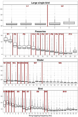 The morphotype approach to classification of aerial animals in radar data