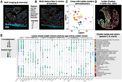 Reproducible-by-design: Romics Processor, a FAIR ecosystem for multi-omics and spatial-omics analysis
