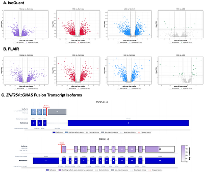 Long-Read Transcriptome Sequencing and Functional Validation Reveals Novel and Oncogenic Gene Fusions in Fusion Panel-Negative Gliomas