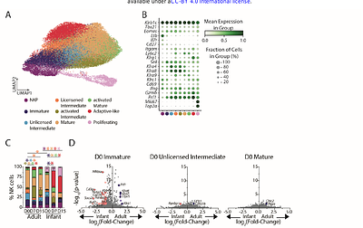 Age determines NK cell fate and tissue compartmentalization to CMV infection