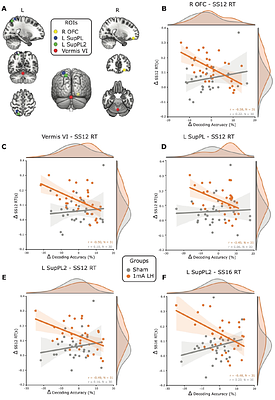 Stimulating prefrontal cortex facilitates training transfer by increasing representational overlap