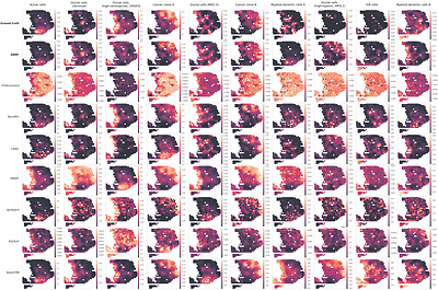 SNMF: Ultrafast, Spatially-Aware Deconvolution for Spatial Transcriptomics