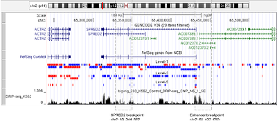 ChiMER: Integrating chromatin architecture into splicing graphs for chimeric enhancer RNAs detection