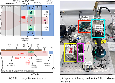 X-ray Response of the Fully-Depleted, p-Channel SiSeRO-CCD