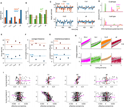 Structure, dynamics, coding and optimal biophysical parameters of efficient excitatory-inhibitory spiking networks