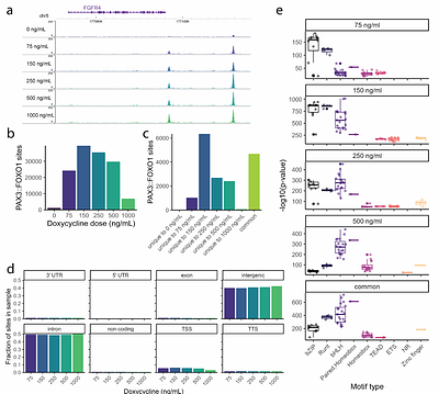 Fusion transcription factor dosage controls cell state in rhabdomyosarcoma