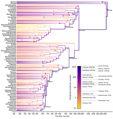 Assembling a fully-dated complete tree of life