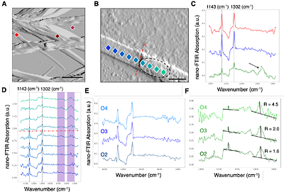 Built-in integrated living electronics: from biosynthesis tomodulation of neuronal function