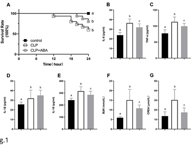 The abscisic acid could reverse the cuproptosis in sepsis-associated acute kidney injury through the inhibition of ferredoxin-1