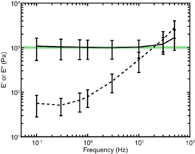 Frequency-dependent cellular microrheology with pyramidal atomic force microscopy probes