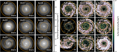 Coupling between stellar and HI lopsidedness in Milky Way-type galaxies from the Auriga Superstars cosmological simulations