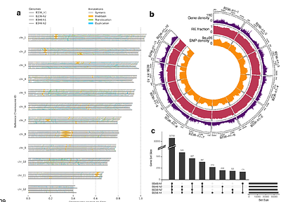 Genomic analyses demonstrate the absence of genetic sex determination in the dioecious conifer Taxus baccata