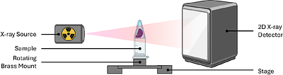 Micro-CT: A reversible contrast-based protocol for non-destructive imaging of cardiac morphology in an avian model.