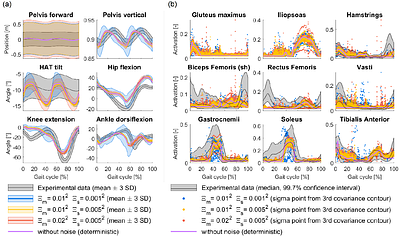 Stochastic optimal control simulations of walking: potential and perspective