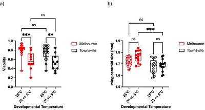 Fluctuating temperatures exacerbate nutritional stress during development in Drosophila melanogaster