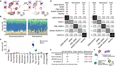 Re-mixing Embeddings for Patient Augmentation in Data Scarce Multiple Instance Learning