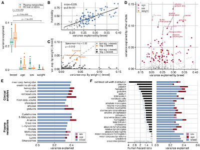 Blood biomarkers and breed genetics of aging in pet dogs