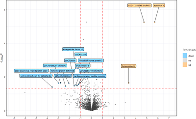 Neurotranscriptomic profiling of DWV-infected honey bee foragers with different cognitive abilities