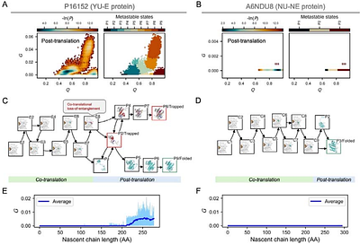 Protein entanglement misfolding determines divergent fates: proteasomal degradation or persistence in near-native misfolded states