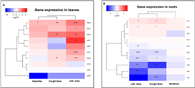 Drought stress modulates the molecular response of Arabidopsis plants to root-knot nematode infection