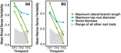Divergence of root system traits in soybean between breeding and diversity lines