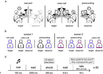 Temporal presence does not affect behavioral and neurophysiological indices of pain empathy