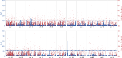 Inferring patterns of purifying, positive and balancing selection in the coppery titi monkey (Plecturocebus cupreus) utilizing a well-fit evolutionary baseline model
