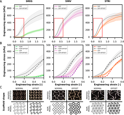 Rational Design and Modeling of Auxetic Fiber Scaffolds for Soft Tissue Engineering via Melt Electrowriting