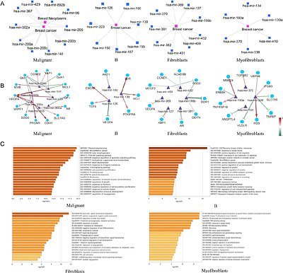 STmiR: A Novel XGBoost-Based Framework for Spatially Resolved miRNA Activity Prediction