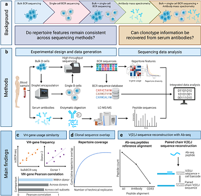 Benchmarking and integrating human B-cell receptor genomic and antibody proteomic profiling