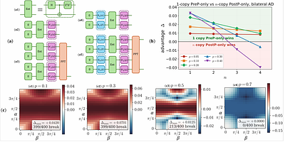 Forward-Assisted Purification: A Spatiotemporal Framework Beyond Conventional Limits
