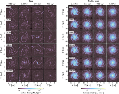 A New Method to Simulate Dark Matter-Baryon Interactions and Application to an Isolated Disk Galaxy
