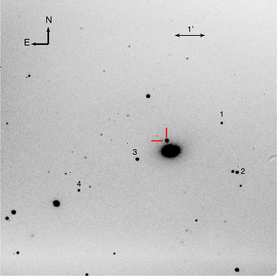 Optical observations on the young Type Ia SN 2021fxy with detached high velocity features