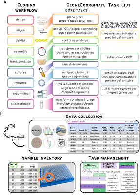 CloneCoordinate: Open-source software for collaborative DNA construction