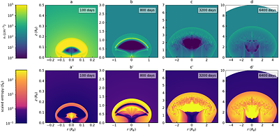 Simulations of interaction between outflow and surrounding broken power-law circumnuclear medium: implications for different radio light curves of TDEs