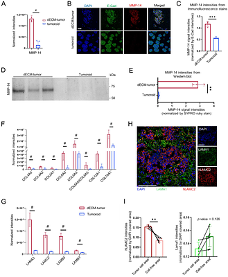 Chemoselective Characterization of New Extracellular Matrix Deposition in Bioengineered Tumor Tissues