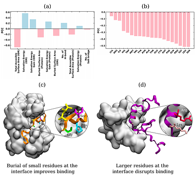 A Comprehensive Atlas and Machine-Learning Framework for Predicting IDR-Protein Binding Affinity