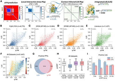 FlyPredictome: A structural atlas of predicted protein-protein interactions in Drosophila